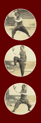 quanl.gif (30196 bytes)